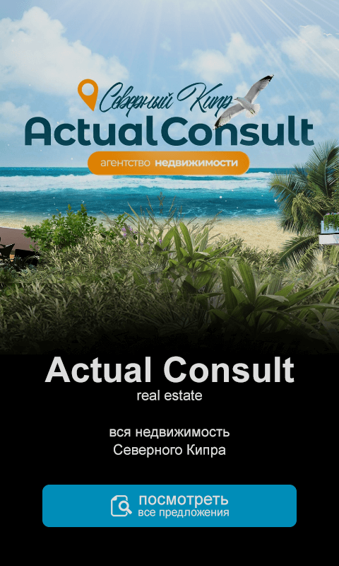 Actual Consult