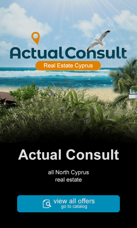 Actual Consult