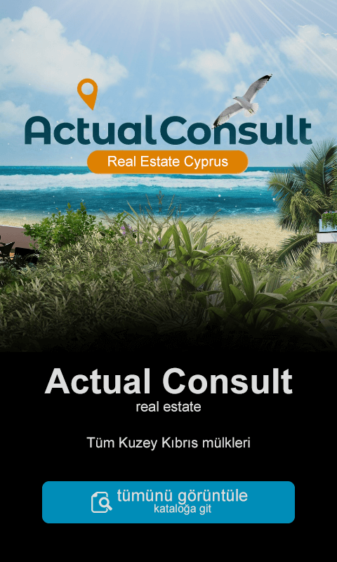 Actual Consult